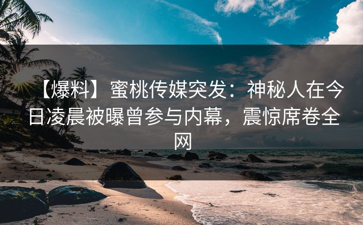 【爆料】蜜桃传媒突发：神秘人在今日凌晨被曝曾参与内幕，震惊席卷全网