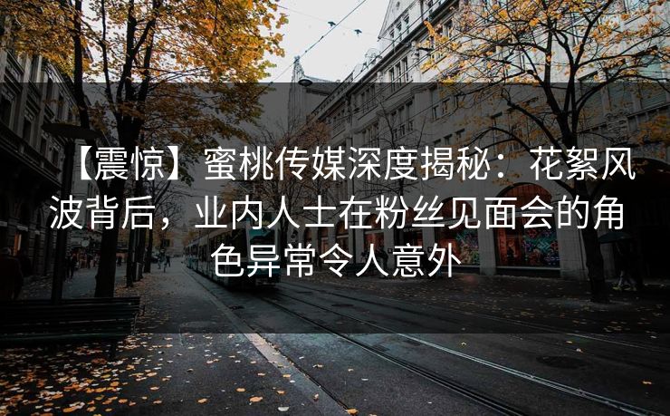 【震惊】蜜桃传媒深度揭秘：花絮风波背后，业内人士在粉丝见面会的角色异常令人意外
