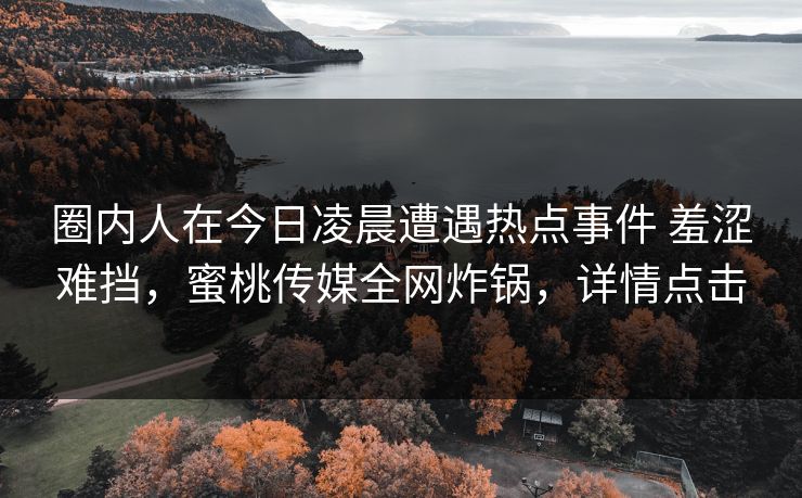 圈内人在今日凌晨遭遇热点事件 羞涩难挡，蜜桃传媒全网炸锅，详情点击