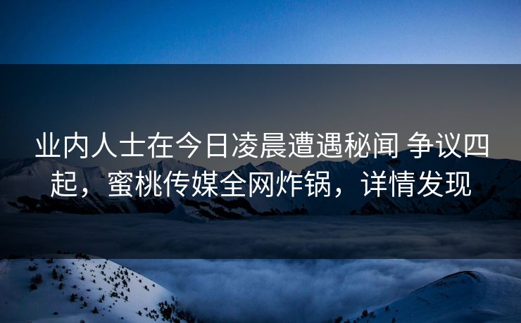业内人士在今日凌晨遭遇秘闻 争议四起，蜜桃传媒全网炸锅，详情发现